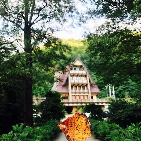 Pension Casa Vanatorilor Baile Olanesti Luaran gambar