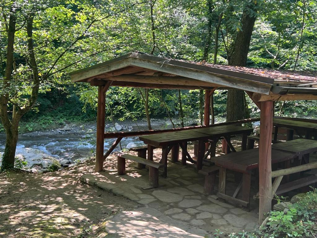 Pension Casa Vanatorilor Baile Olanesti Luaran gambar
