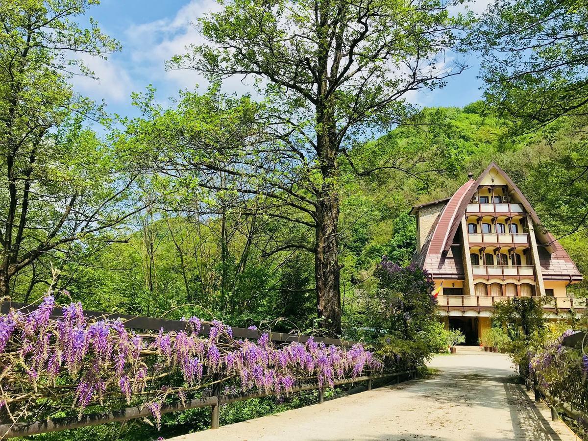 Pension Casa Vanatorilor Baile Olanesti Luaran gambar