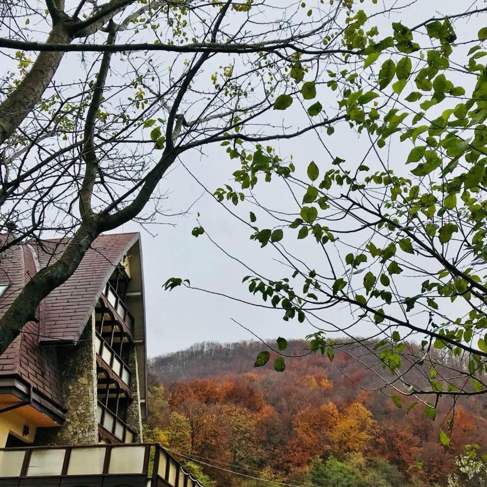Pension Casa Vanatorilor Baile Olanesti Luaran gambar